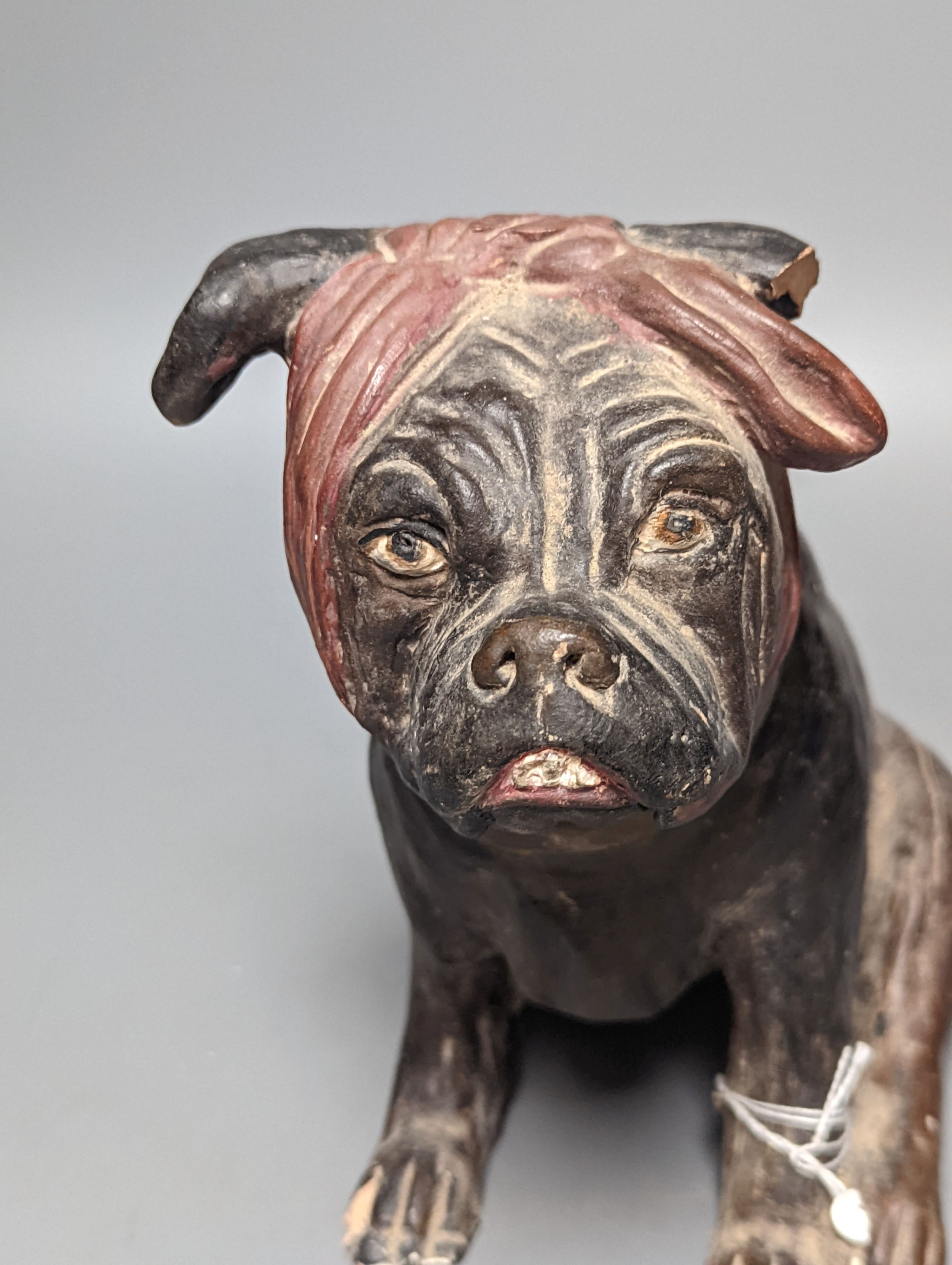 An Austrian cold painted terracotta model of a dog wearing a bandana, 21.5cm high